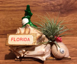 Tilla Critters Al - Rida One of a Kind Airplant Creations by Chili Fiesta Handiworks