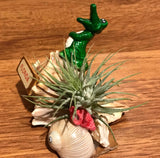 Tilla Critters Al - Rida One of a Kind Airplant Creations by Chili Fiesta Handiworks