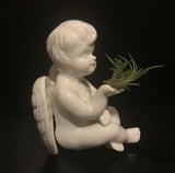 Tilla Critters Angel's Kiss One of a Kind Airplant Creations by Chili Fiesta Handiworks