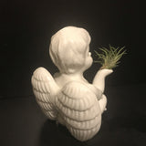 Tilla Critters Angel's Kiss One of a Kind Airplant Creations by Chili Fiesta Handiworks