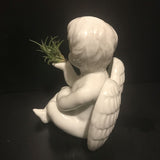 Tilla Critters Angel's Kiss One of a Kind Airplant Creations by Chili Fiesta Handiworks