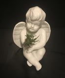 Tilla Critters Angel's Kiss One of a Kind Airplant Creations by Chili Fiesta Handiworks