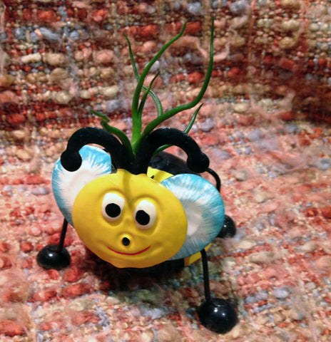 Tilla Critters Bumbly Bobby Bee One of a Kind Air Plant Creations from Chili Fiesta HandiWorks