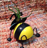 Tilla Critters Bumbly Bobby Bee One of a Kind Air Plant Creations from Chili Fiesta HandiWorks