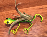 Tilla Critters Gordon Gekko One of a Kind Airplant Creations by Chili Fiesta Handiworks