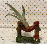 Tilla Critters Hammock Hanging One of a Kind Airplant Creations by Chili Fiesta Handiworks