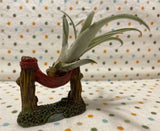 Tilla Critters Hammock Hanging One of a Kind Airplant Creations by Chili Fiesta Handiworks