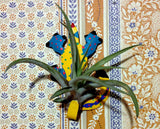 Tilla Critters Karma Chameleon One of a Kind Air Plant Creations from Chili Fiesta HandiWorks