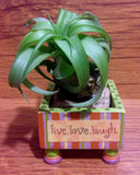 Tilla Critters Lovely Lucy One of a Kind Air Plant Creations from Chili Fiesta HandiWorks