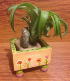 Tilla Critters Lovely Lucy One of a Kind Air Plant Creations from Chili Fiesta HandiWorks
