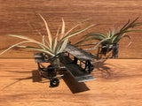 Tilla Critters Orville & Wilbur One of a Kind Airplant Creations by Chili Fiesta Handiworks