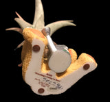 Tilla Critters Rosie One of a Kind Airplant Creations by Chili Fiesta Handiworks