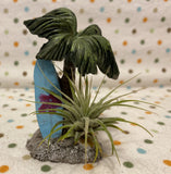 Tilla Critters Surfs Up One of a Kind Airplant Creations by Chili Fiesta Handiworks