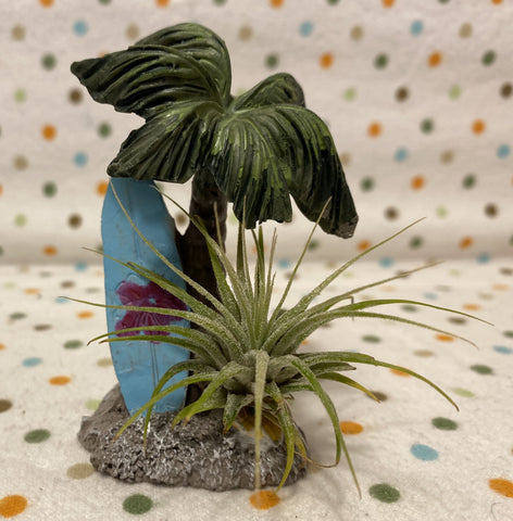 Tilla Critters Surfs Up One of a Kind Airplant Creations by Chili Fiesta Handiworks