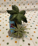 Tilla Critters Surfs Up One of a Kind Airplant Creations by Chili Fiesta Handiworks