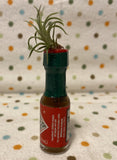 Tilla Critters The Tabasco Kid One of a Kind Airplant Creations by Chili Fiesta Handiworks