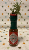 Tilla Critters The Tabasco Kid One of a Kind Airplant Creations by Chili Fiesta Handiworks