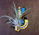 Tilla Critters Karma Chameleon One of a Kind Air Plant Creations from Chili Fiesta HandiWorks