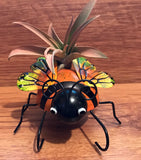Tilla Critters Lady A One of a Kind Airplant Creations by Chili Fiesta Handiworks