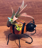 Tilla Critters Lady A One of a Kind Airplant Creations by Chili Fiesta Handiworks