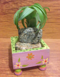 Tilla Critters Lovely Lucy One of a Kind Air Plant Creations from Chili Fiesta HandiWorks