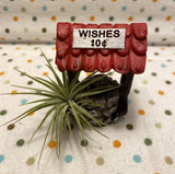 Tilla Critters Make a Wish One of a Kind Airplant Creations by Chili Fiesta Handiworks