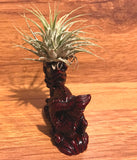 Tilla Critters Mushu One of a Kind Airplant Creations by Chili Fiesta Handiworks