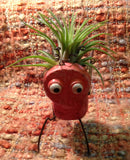 Tilla Critters Bugga Boo One of a Kind Air Plant Creations from Chili Fiesta HandiWorks