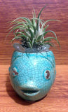 Tilla Critters Rasta Fish Mon One of a Kind Air Plant Creations from Chili Fiesta HandiWorks