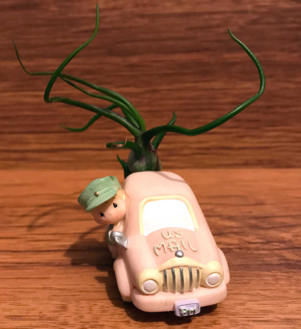 Tilla Critters Special Delivery One of a Kind Airplant Creations by Chili Fiesta Handiworks