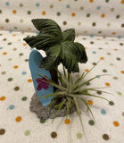 Tilla Critters Surfs Up One of a Kind Airplant Creations by Chili Fiesta Handiworks