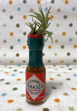 Tilla Critters The Tabasco Kid One of a Kind Airplant Creations by Chili Fiesta Handiworks
